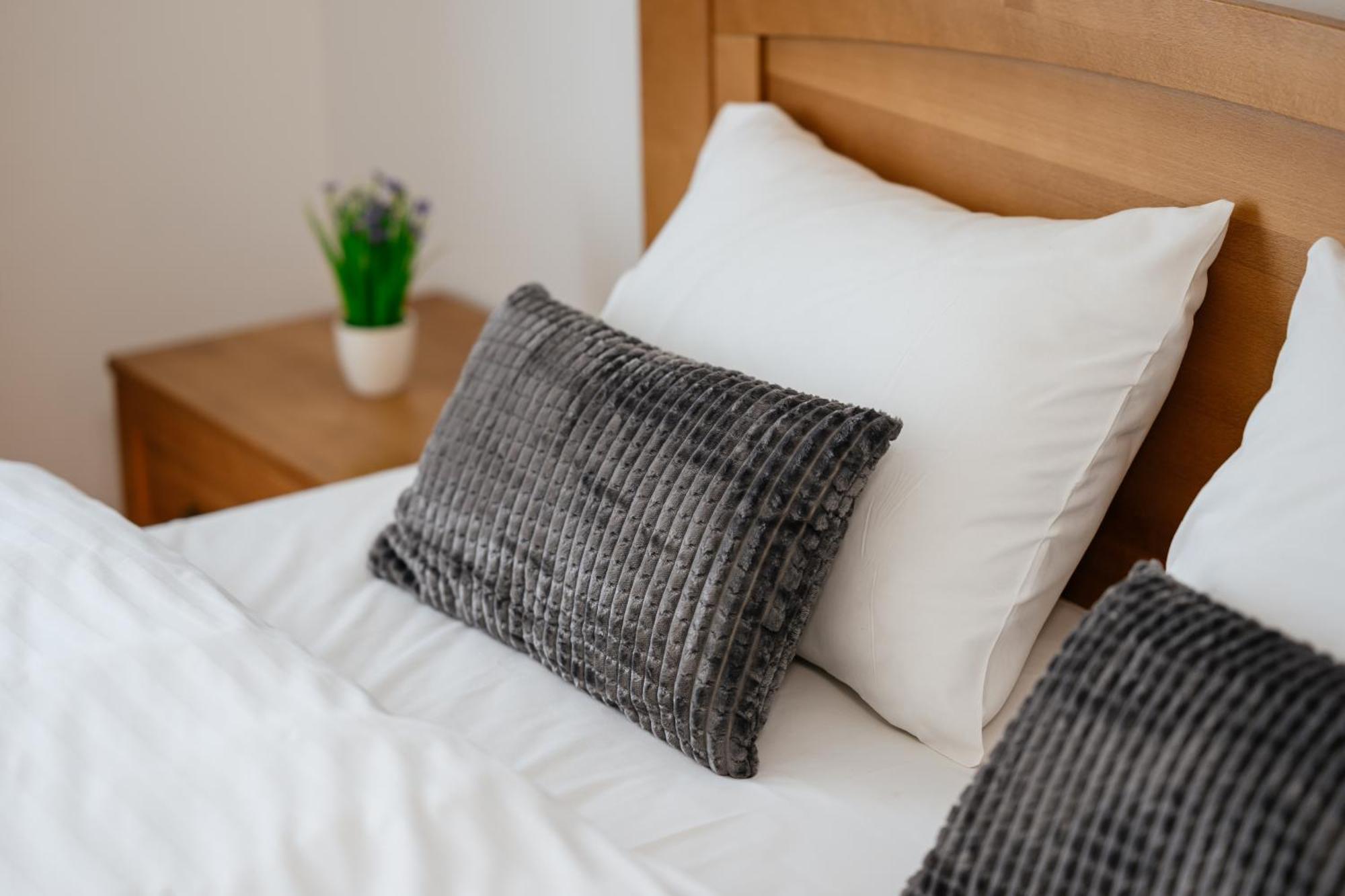 Luxury Apartments Uzhorod Екстер'єр фото